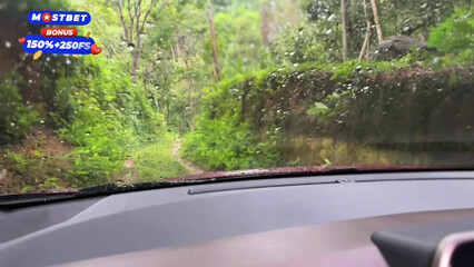 Я попала в сложную ситуацию, и у меня нет денег – может я вам отсосу?